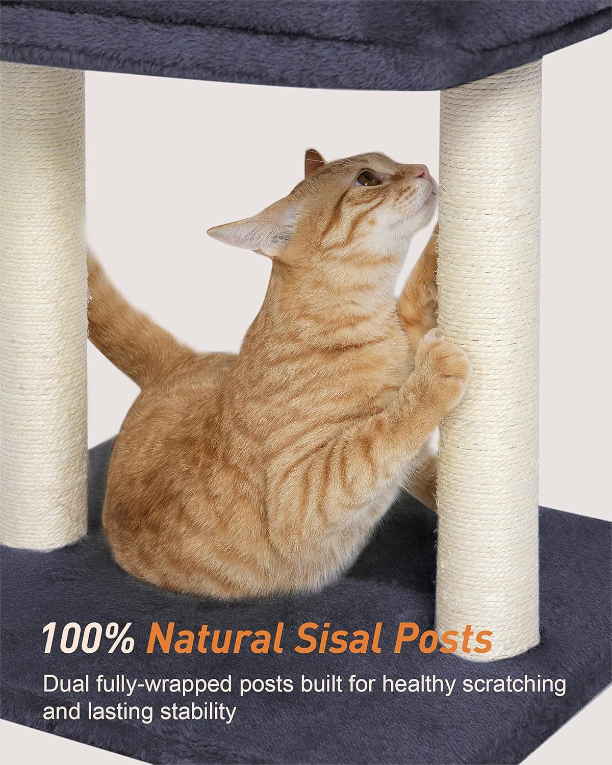 19-small-cat-tree-with-scratching-post-for-indoor-cats-with-perch-dark-gray-removable-19-15-8-perch-bed-dual-natural-sisal-scratcher-small-cat-tower-space-saving