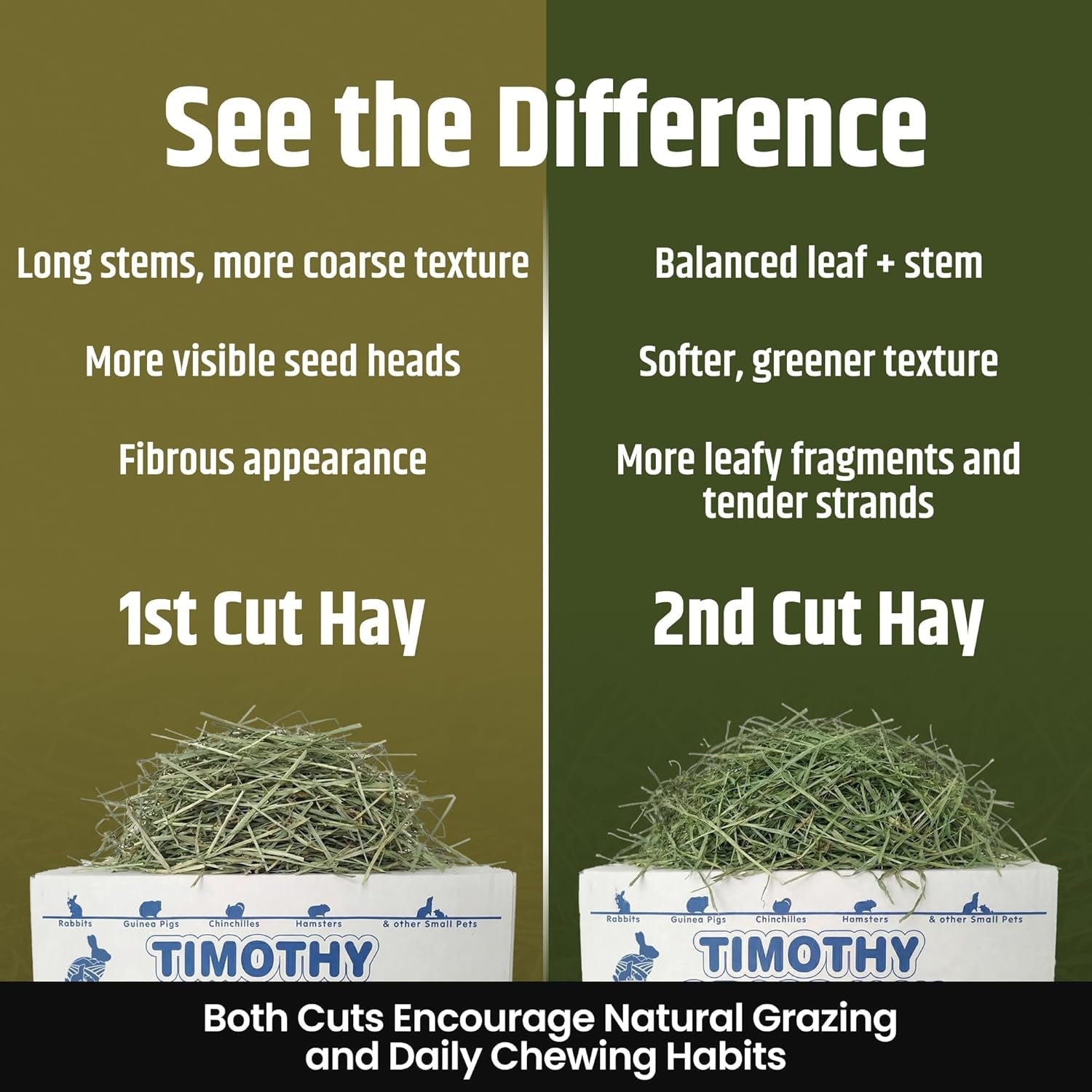 high-desert-2nd-cutting-timothy-hay-for-rabbits-guinea-pigs-4-lb-soft-leafy-texture-with-balanced-fiber-supports-healthy-digestion-great-for-chinchillas-hand-packed-in-the-usa-low-dust