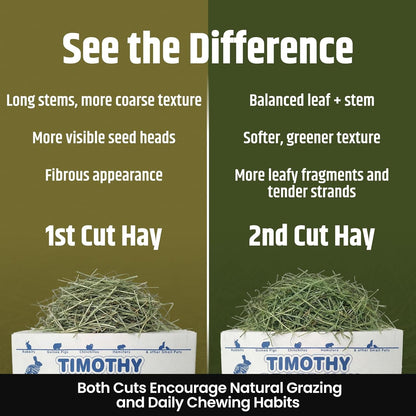 High Desert 2Nd Cutting Timothy Hay for Rabbits, Guinea Pigs, 4 Lb | Soft Leafy Texture with Balanced Fiber, Supports Healthy Digestion, Great for Chinchillas, Hand Packed in the USA, Low Dust3