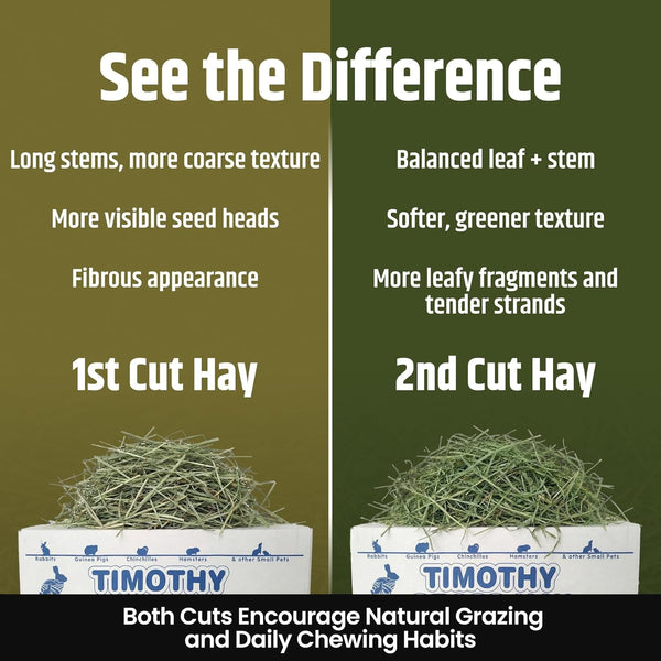 High Desert 2Nd Cutting Timothy Hay for Rabbits, Guinea Pigs, 4 Lb | Soft Leafy Texture with Balanced Fiber, Supports Healthy Digestion, Great for Chinchillas, Hand Packed in the USA, Low Dust3