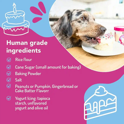 Cuppy Cake Microwave Dog Birthday Cake in a Cup - Ready in 2 Min, Just Add Water and Microwave, All Natural, Pupfetti Sprinkles, Made in USA (Woman Owned)2
