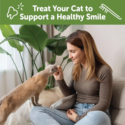 Wellness WHIMZEES Cat Dental Treats, Freshens Breath, Chicken and Salmon Flavor, 4.5 Oz Bag6