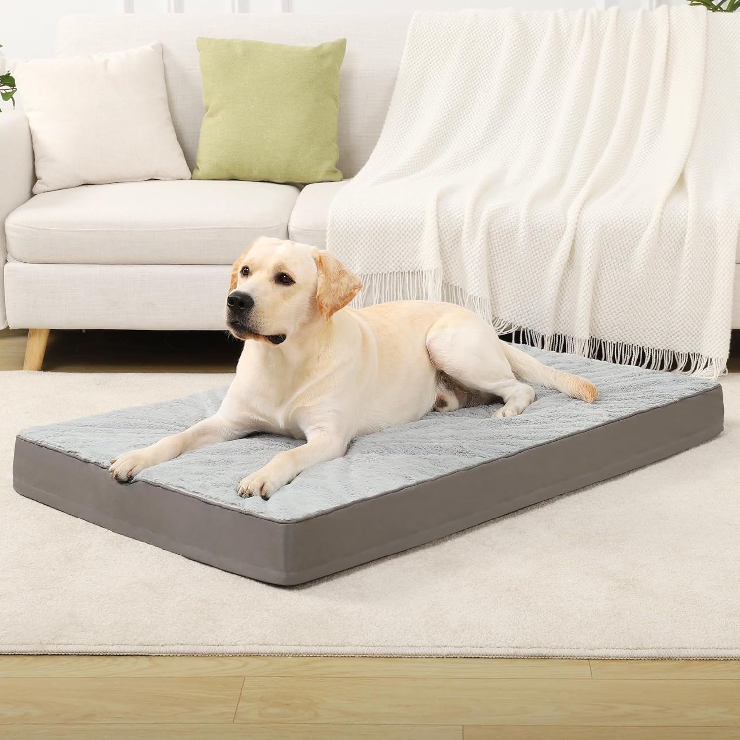 ksiia-orthopedic-dog-bed-for-large-dogs-with-waterproof-lining-grey-35x22-deluxe-soft-plush-dog-crate-bed-washable-pet-mat-with-removable-cover-egg-crate-foam-for-large-dogs-sleeping-relaxing