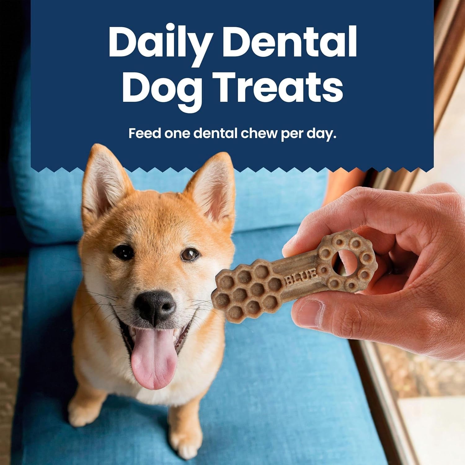 blue-buffalo-dental-chews-medium-natural-dog-treats-chicken-spearmint-23-oz-bag-28-count