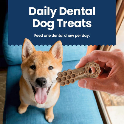 Blue Buffalo Dental Chews Medium Natural Dog Treats, Chicken & Spearmint 23-Oz Bag (28 Count)10