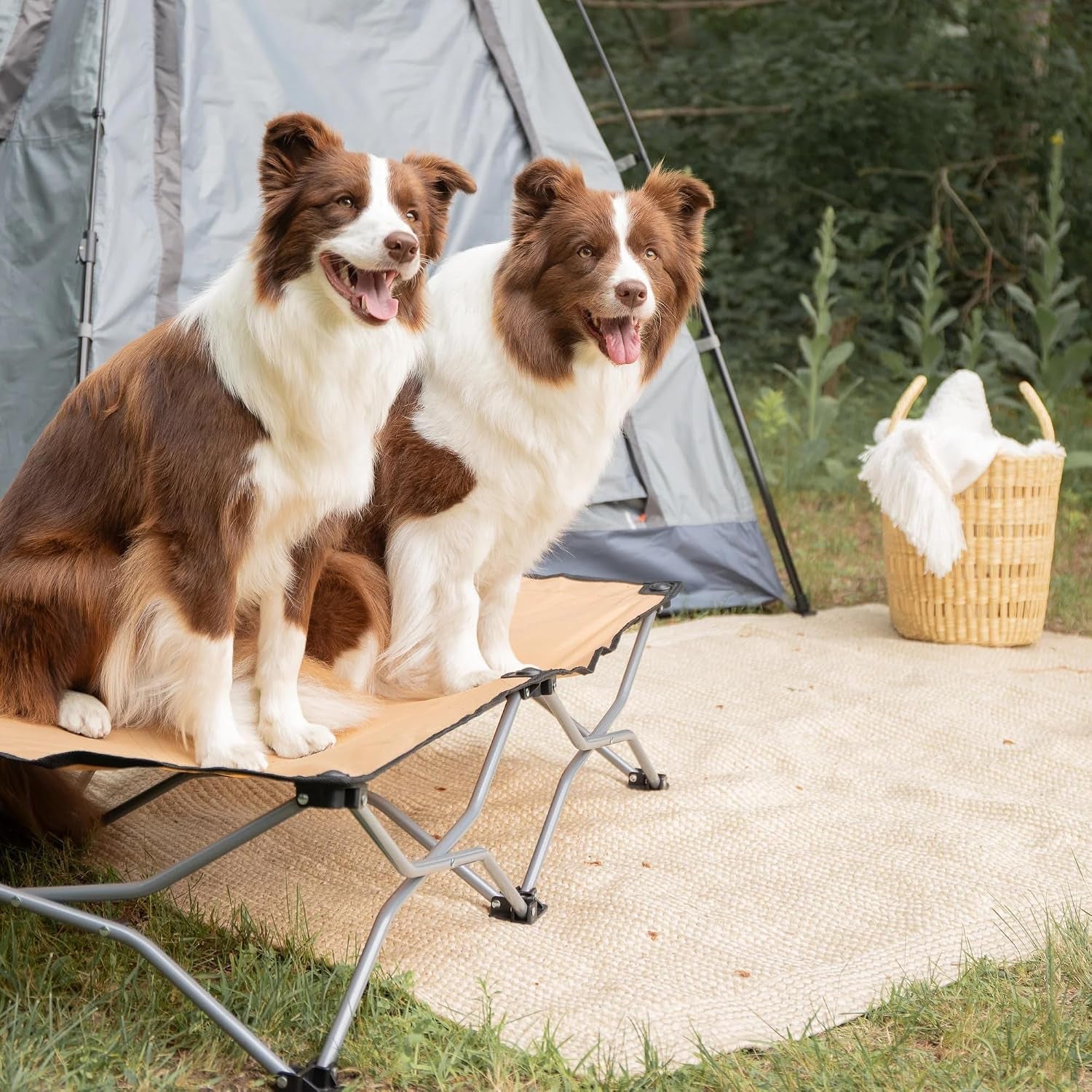 carlson-elevated-dog-bed-folding-dog-cot-for-large-dogs-up-to-95-lbs-portable-raised-pet-bed-for-indoor-outdoor-use-47-5-x-24-5-tan
