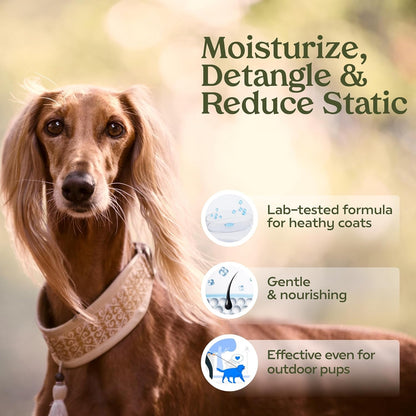 PAWFUME Dog Perfume Spray Long Lasting Scent for Grooming, Show Dog, 1-Pack – Keep Your Pup Fresh All Day – Hypoallergenic, Alcohol-Free, Detangling Formula – Moisturizing Pet Cologne Spray for Dogs2