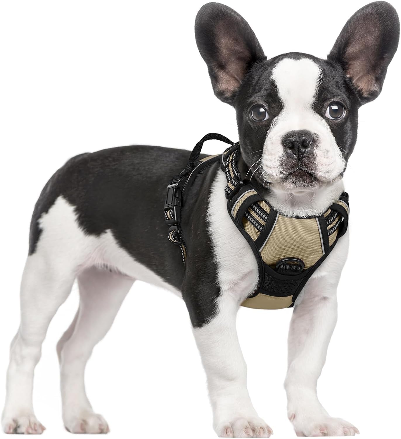 rabbitgoo-dog-harness-no-pull-for-large-dogs-with-2-leash-clips-pet-vest-no-choke-with-handle-adjustable-soft-padded-reflective-easy-control-for-walking-black-large