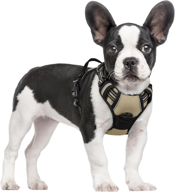 Rabbitgoo Dog Harness, No Pull for Large Dogs with 2 Leash Clips, Pet Vest | No Choke with Handle, Adjustable Soft Padded, Reflective, Easy Control for Walking, Black, Large53