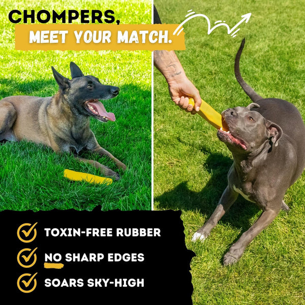 Indestructible Stick Dog Toy - Lifetime Replacement - Durable Chew Toy for Aggressive Chewers - Safe Non-Toxic Natural Rubber - Chew Tug & Fetch - Tough, Heavy Duty - Med/Large Breed, 8”X2”4