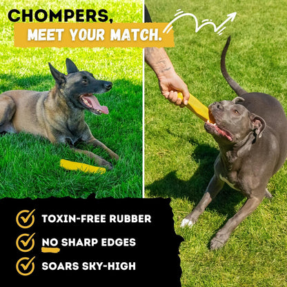 Indestructible Stick Dog Toy - Lifetime Replacement - Durable Chew Toy for Aggressive Chewers - Safe Non-Toxic Natural Rubber - Chew Tug & Fetch - Tough, Heavy Duty - Med/Large Breed, 8”X2”4