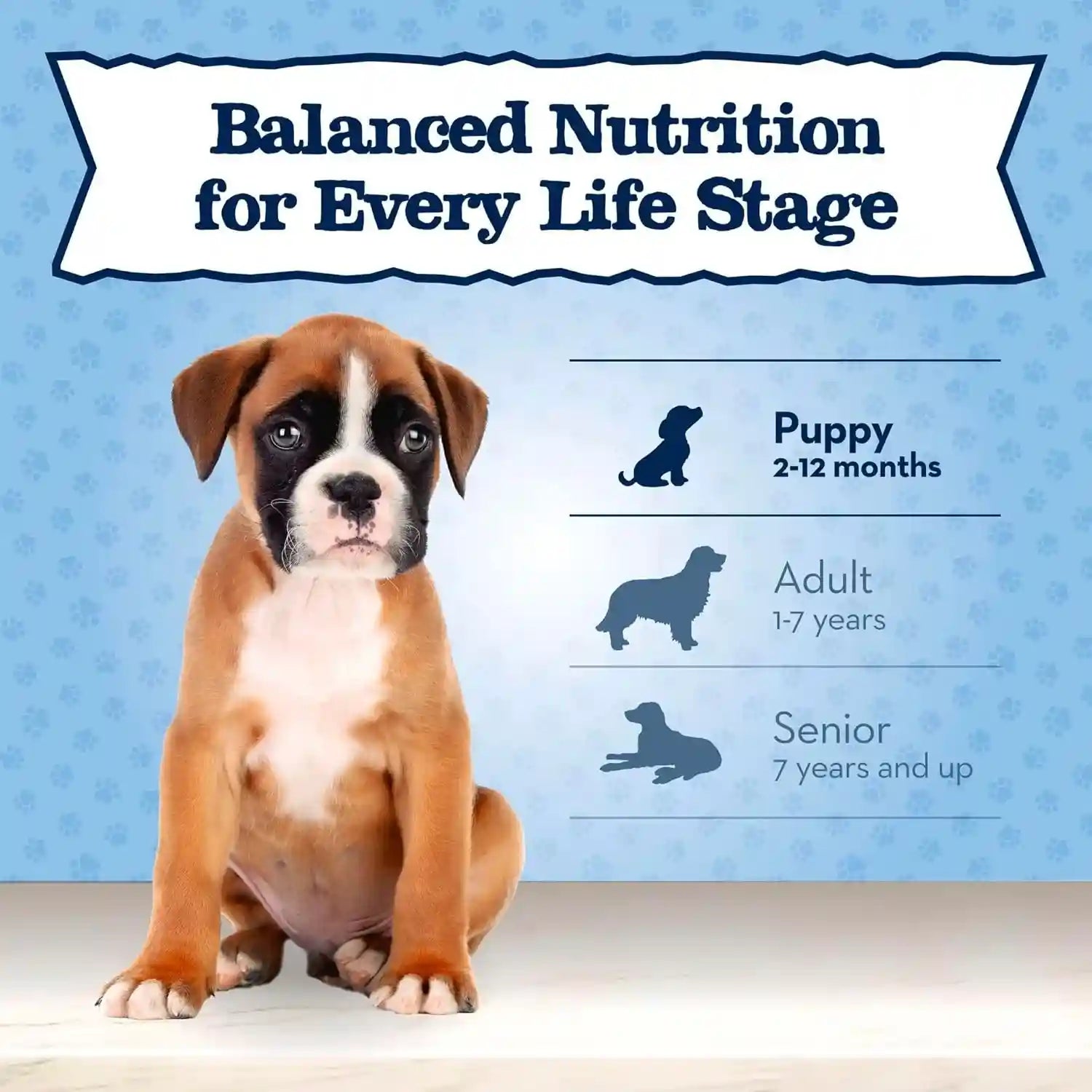 blue-buffalo-baby-blue-natural-small-breed-puppy-dry-dog-food-healthy-growth-formula-with-dha-chicken-and-oatmeal-recipe-4-lb-bag