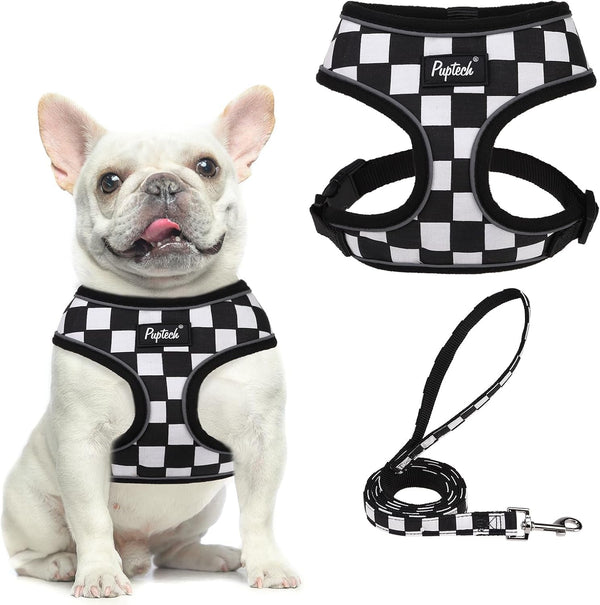 PUPTECK Soft Mesh Dog Harness Small Sized and Leash Set Pet Puppy Cat Comfort Padded Vest No Pull Harnesses, Beige, S63