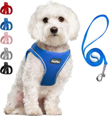 Small Dog Harness and Leash Set Breathable Step-In Puppy Cat Harness,Xs | Reflective for Safe Easy Walking,Soft Light Puppy Vest,Escape Proof,No Pull Harness for Dogs,All Weather Air Mesh Harness15