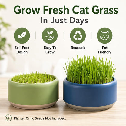 Komorebi Cat-Specific Reusable Hydroponic Herb Growing Box Set-Easy to Use-3 Colour (Seeds Not Included) (Green)3