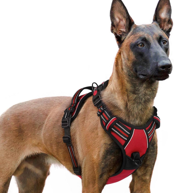 Rabbitgoo Dog Harness Medium Sized, Updated Easy on & off with 3 Buckles | No Pull No Choke, Walking with 2 Clips and Handle, Adjustable Soft Reflective, Blue, Medium17