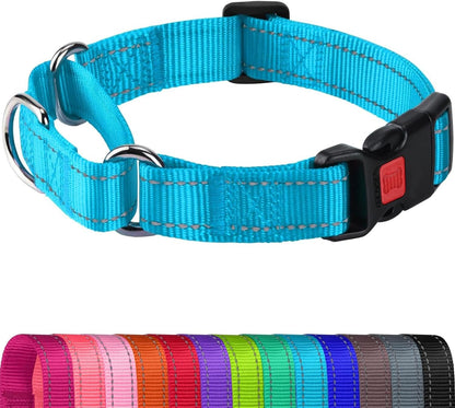 Joytale Martingale Collar for Dogs, Escape Proof No Pull, Hotpink, M | Gentle Cinch Stops Pulling without Choking, Safety Lock Buckle, Reflective Stitching for Night Walks, Soft Nylon14