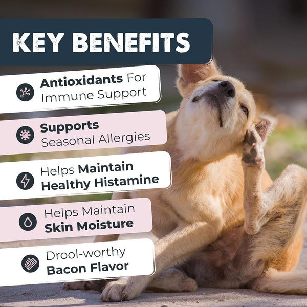 Mighty Paw Dog Allergy Chews, Itch Relief & Immune Support, 120Ct | Bacon Flavor, Supports Normal Immune Health, Seasonal Skin Support, Vet Formulated, Made in USA2