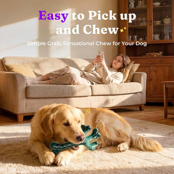 Frienhund 2-Pack Indestructible Dog Chew Toys for Aggressive Chewers | Textured Cactus with Grooves for Peanut Butter & Yogurt, Beef Nylon Bones for Large Dogs 20-90 Lbs, Easy Chew & Long Lasting5