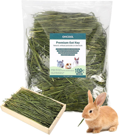 Premium Oat Hay, 1.1LB Small Pet Feed | Premium Dust Free Natural Green Oat Hay, Suitable for Rabbits, Guinea Pigs, Chinchillas, Hamsters, Gerbils1