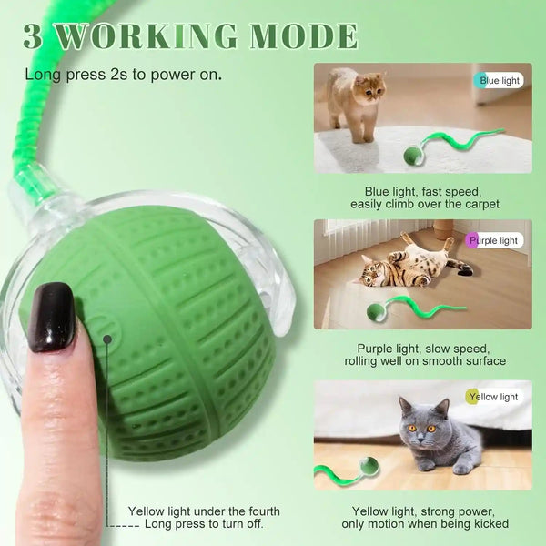 2 PCS Interactive Cat Toys for Indoor Cats, Fast Rolling on Carpet Flash and Motion Activated Cat Balls for Bored Indoor Cats3