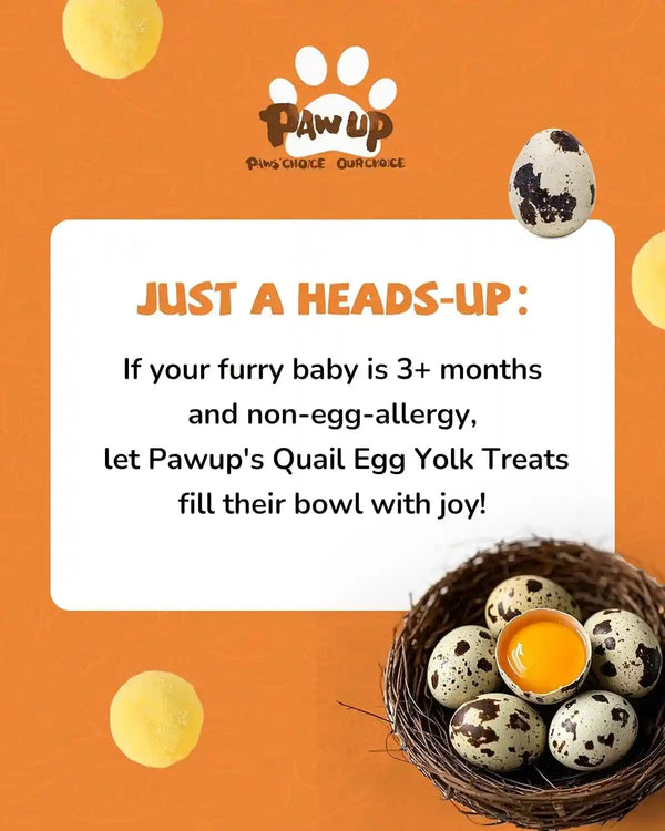 PAWUP Freeze Dried Quail Egg Yolk Pet Treats, Freeze-Dried Pet Food for Dogs, Cats, Pure Fresh Ingredient, 4.2 Oz, Rawhide Free, Gluten&Grain Free8