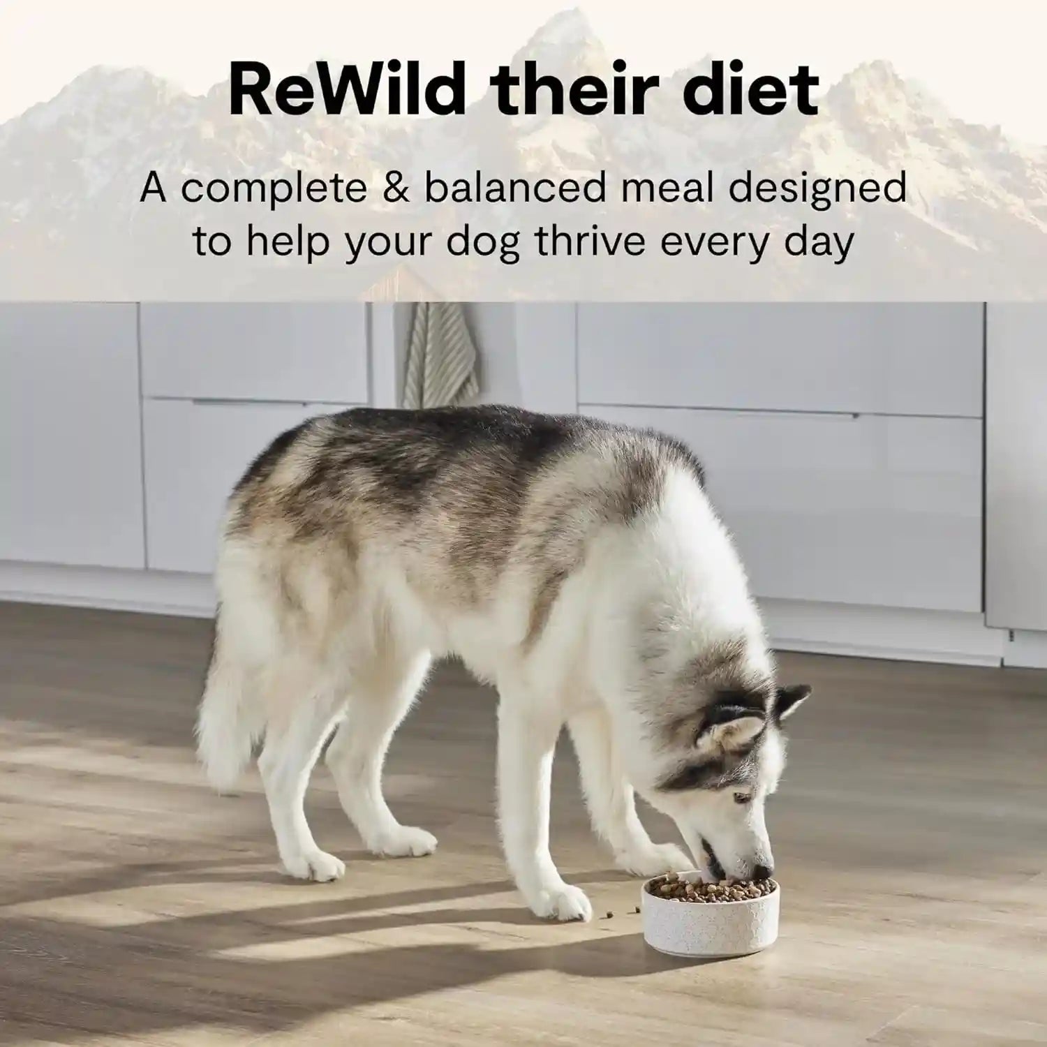 open-farm-rawmix-ancient-grains-dry-dog-food-wild-ocean-kibble-20lb-bag-wild-caught-whitefish-salmon-and-rockfish-freeze-dried-raw-chunks-100-traceable-ingredients-non-gmo-fruits-veggies