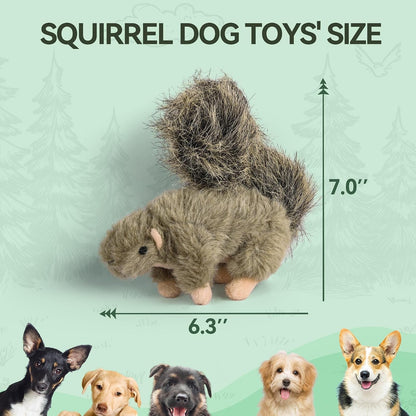 ALL for PAWS Classic Squirrel Pet Toys, Small2