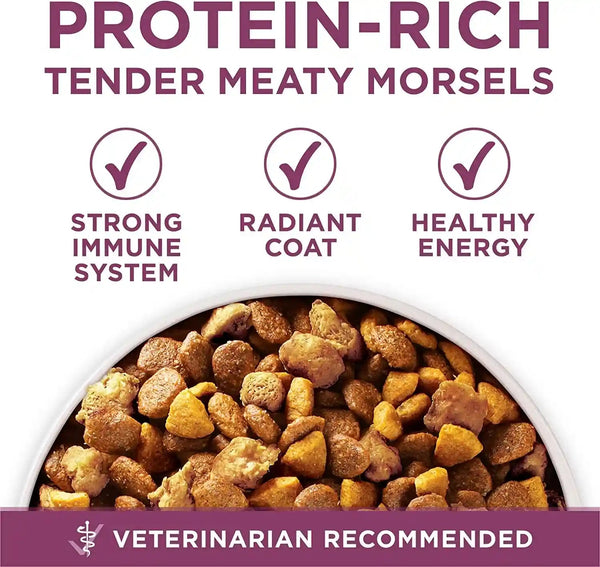Purina ONE plus Healthy Puppy Formula High Protein Natural Dry Puppy Food with Added Vitamins, Minerals and Nutrients - 8 Lb. Bag8