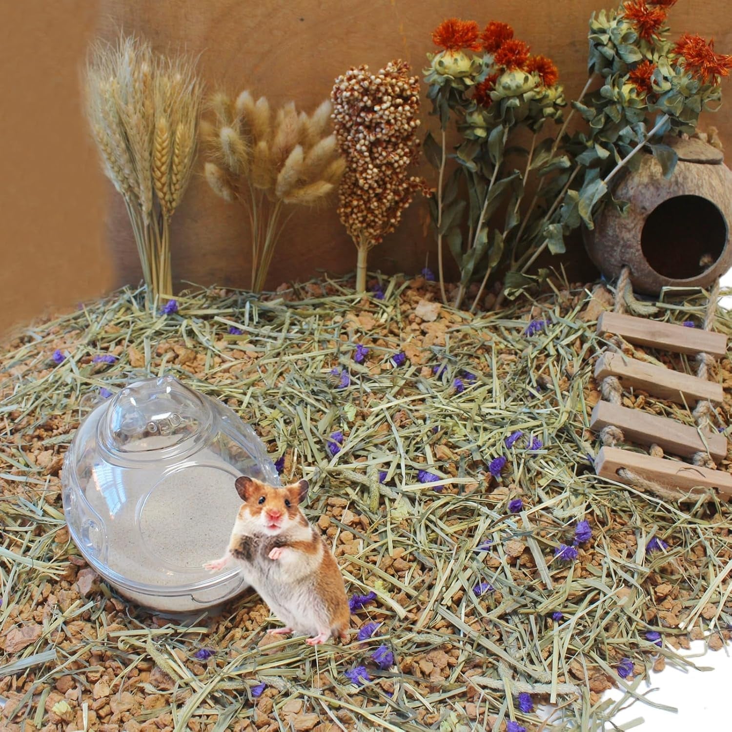hamster-bath-sand-3lb-dust-free-desert-sand-or-potty-litter-sand-for-hamster-chinchillas-gerbil-syrian-mice-small-animalsbeige