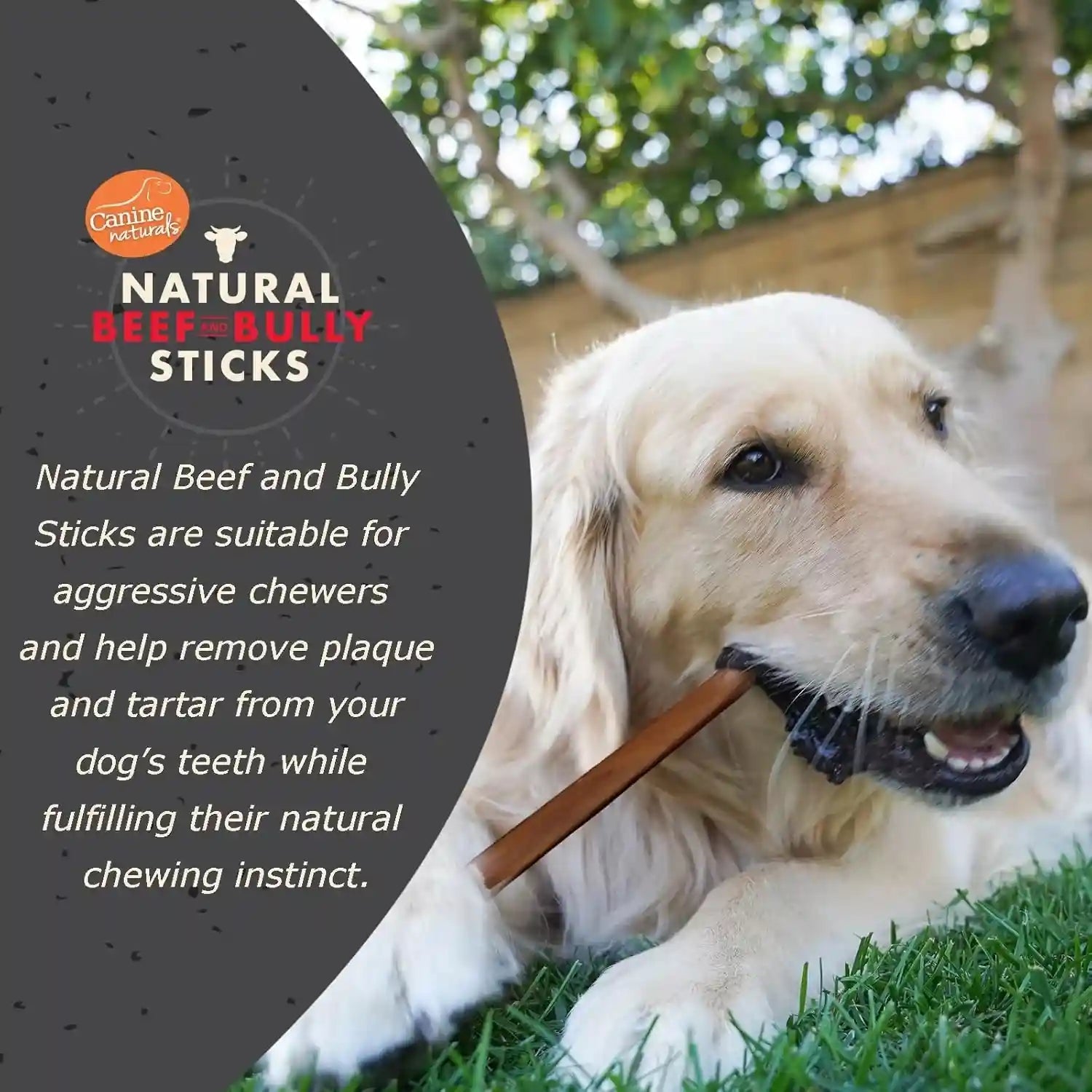 canine-naturals-natural-beef-bully-sticks-long-lasting-odor-free-high-protein-chews-made-with-100-real-bully-4-count-medium-sticks