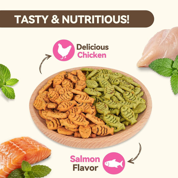 Catnip Cat Treats, Chicken & Salmon Flavor, Crunchy Bites, 16 Oz | Catnip-Infused Fish-Shaped Biscuits with Chicken and Salmon Flavors, Made for Training, Rewarding, and Everyday Bonding2