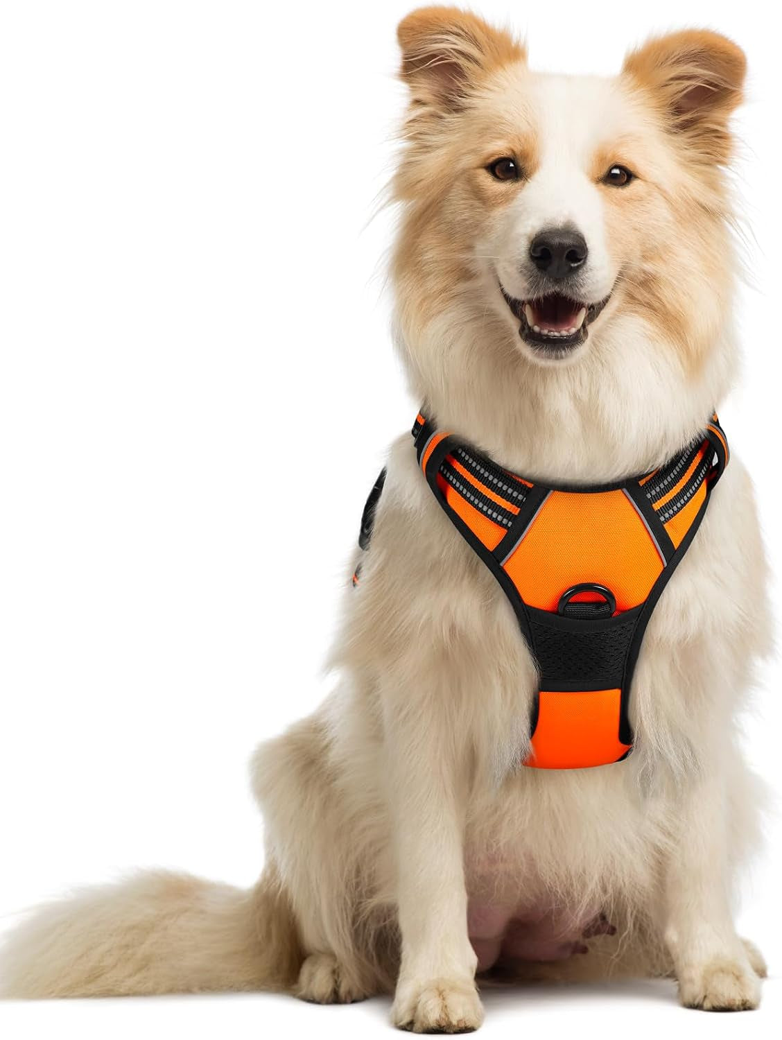 rabbitgoo-dog-harness-no-pull-for-large-dogs-with-2-leash-clips-pet-vest-no-choke-with-handle-adjustable-soft-padded-reflective-easy-control-for-walking-black-large
