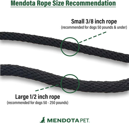 Mendota Pet Slip Leash - Dog Lead and Collar Combo - Made in the USA - Mocha, 3/8 in X 6 Ft - for Small/Medium Breeds4