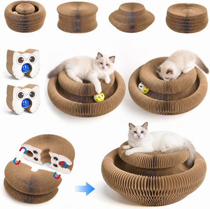 2-Pack Cardboard Cat Toy with Ball Track, Foldable Cat Scratcher Ring, Fexible Magic Organ Cat Toy for Scratch, Chase, Lounge, Indoor Exercise, Furniture Protection and Multi-Cat Homes1