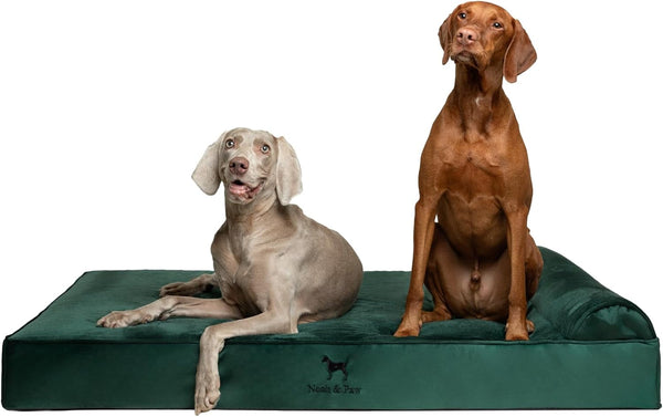 NOAH & PAW Large Dog Bed, 35X25X8.7 Inch, Orthopedic Dog Beds, Eggshell Memory Foam Infused with Cooling Gel, Water Resistant, Machine Washable, Includes Inner Cover (Velvet Collection)12