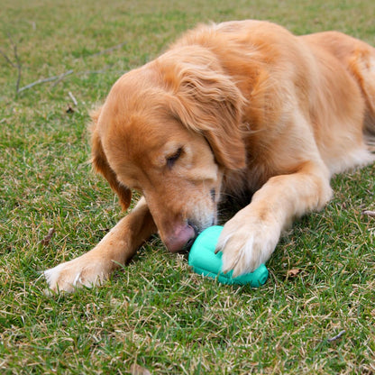 Chew King by Mammoth Premium Treat Dispensing Dog Toy, Durable Natural Rubber Chew Toy, Safety Air Vent, Interactive Enrichment Toy for Aggressive Chewers, Large Pack of 2- Teal2