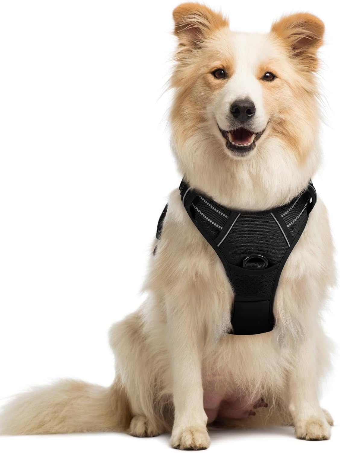 rabbitgoo-dog-harness-no-pull-for-large-dogs-with-2-leash-clips-pet-vest-no-choke-with-handle-adjustable-soft-padded-reflective-easy-control-for-walking-black-large