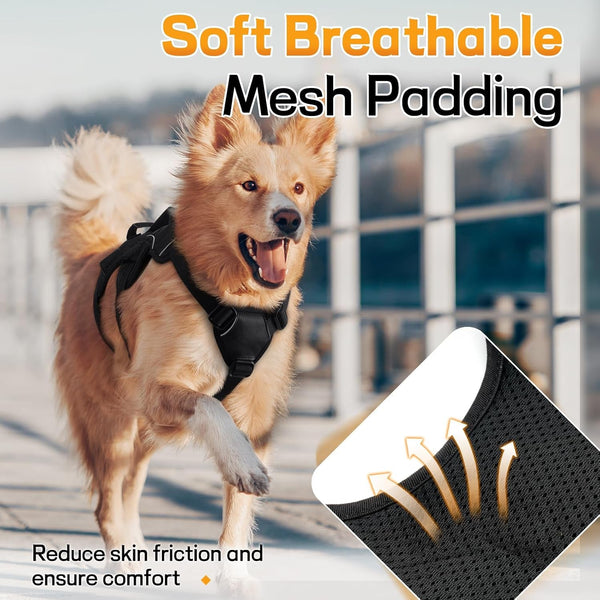 Rabbitgoo Escape Proof Dog Harness for Large, No Pull with Lift Handle | No Escape, Full Soft Padded, Reflective Adjustable Vest, Leash Clip for Walking Hiking Training, Black, Large6