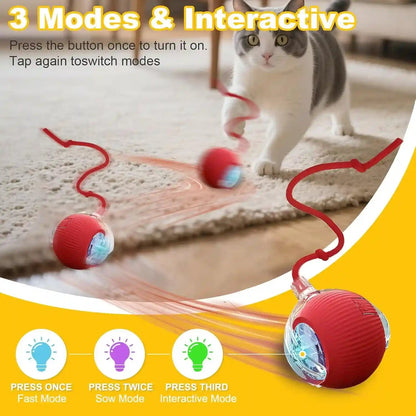 2-Pack USB Rechargeable Smart Cat Toy Ball, 360° Rotation Automatic Moving Chase Toy, Obstacle Avoidance Interactive Play with 4 Spiral Springs, Enrichment Toys for Indoor Cats, Puppies & Small Dogs2