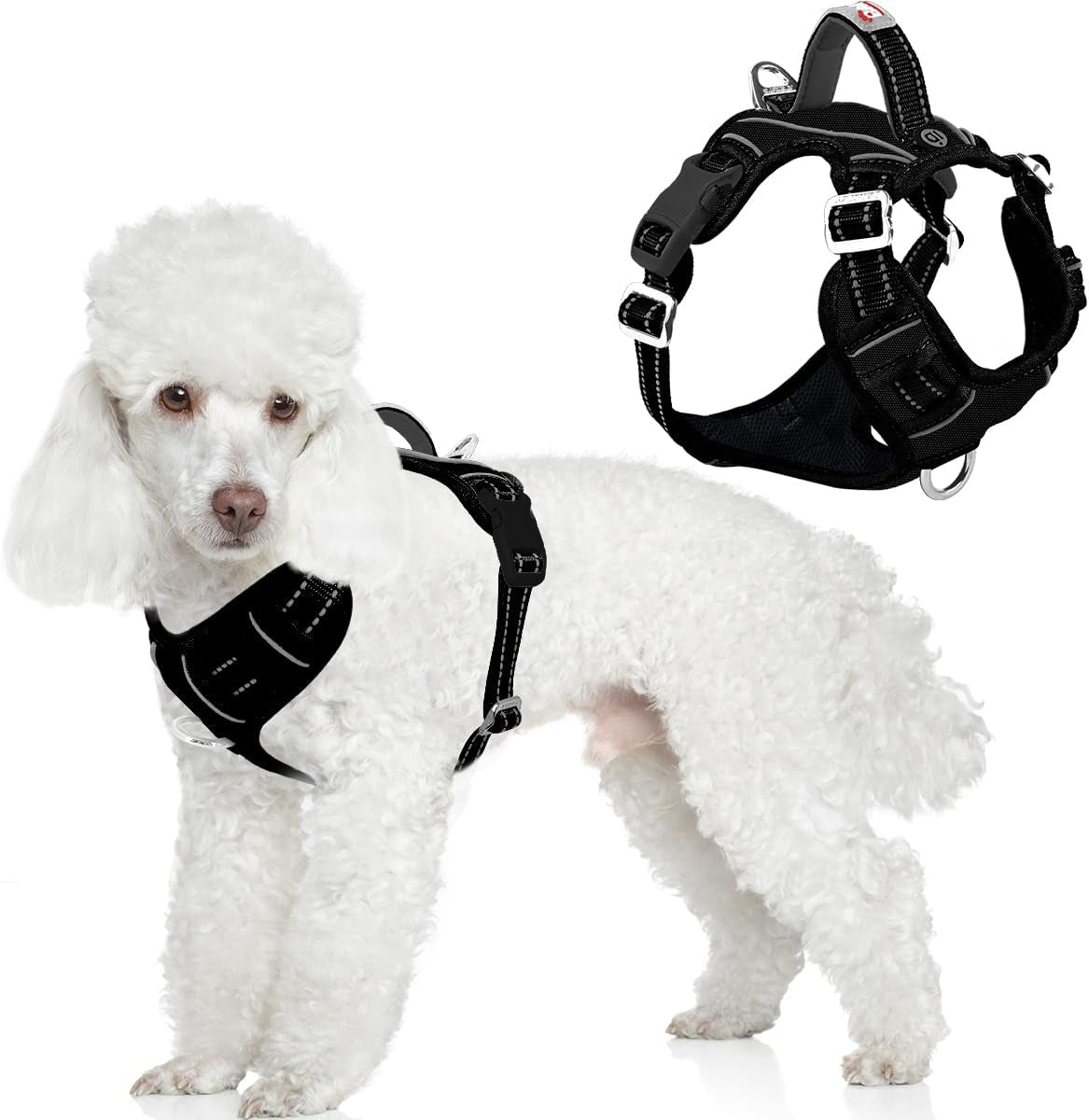 barkbay-dog-harness-no-pull-with-id-tag-pocket-heavy-duty-reflective-easy-control-for-large-dogsblue-l