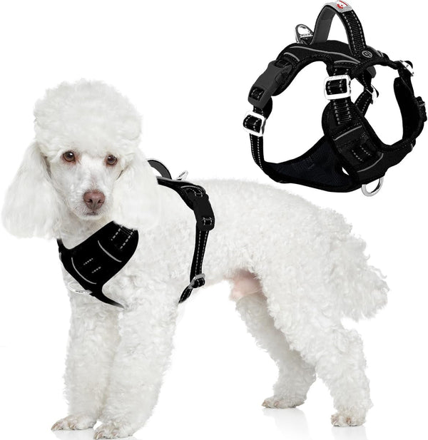 BARKBAY Dog Harness No Pull with ID Tag Pocket - Heavy Duty, Reflective, Easy Control for Large Dogs(Blue,L)24