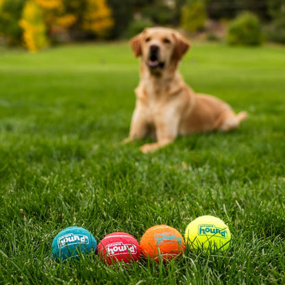Outward Hound Squeaker Ballz – Squeaky Tennis Balls for Dogs under 50 Lbs, Interactive Dog Toy for Fetch & Training, Medium (2.5"), 4‑Pack5