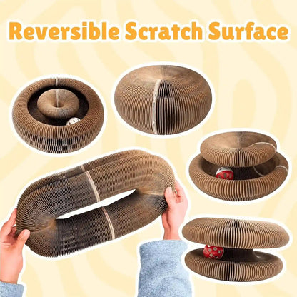 KITTY KURLZ Interactive Cat Toy & Cardboard Cat Scratcher | Collapsible Ball Track with Bell, for Indoor Cats, Reversible Scratch Ring, Play, Chase and Lounge6