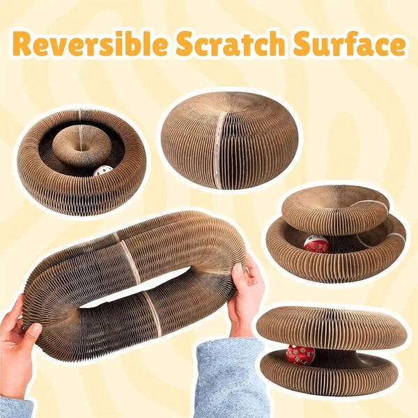 KITTY KURLZ Interactive Cat Toy & Cardboard Cat Scratcher | Collapsible Ball Track with Bell, for Indoor Cats, Reversible Scratch Ring, Play, Chase and Lounge6