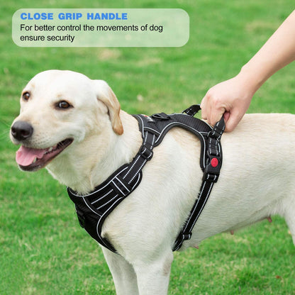 Tobedri No Pull Dog Harness Adjustable Reflective Oxford Easy Control Medium Large Dog Harness with a Free Heavy Duty 5Ft Dog Leash, Blue, M5