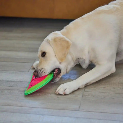 Outward Hound Tough Skinz Durable Squeaky Dog Toy with Two Tough Layers, Watermelon, Red, Medium6