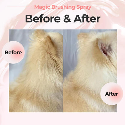 JAYU PET Magic Brushing Spray for Dogs (5.8Fl Oz, 170Ml) | Fur Detangler & Dematting Solution, Hypoallergenic Deodorizer, Conditioner & Itch Relief, Shining & Grooming Spray7