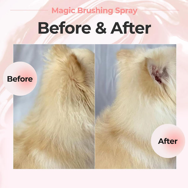 JAYU PET Magic Brushing Spray for Dogs (5.8Fl Oz, 170Ml) | Fur Detangler & Dematting Solution, Hypoallergenic Deodorizer, Conditioner & Itch Relief, Shining & Grooming Spray7
