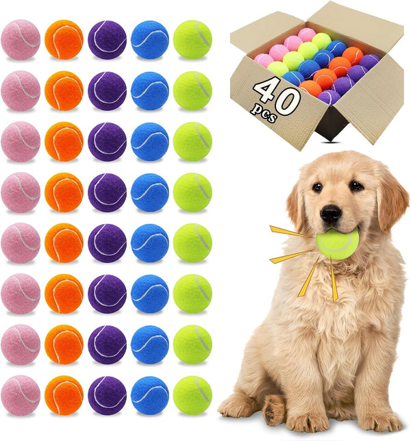 Magicorange Dog Tennis Balls, 20 Pack 2.5 Inch Squeaky Tennis Balls | Floatable Squeaky Dog Balls for All Breed Dogs,Natural Rubber,Colorful Easy Catching Multicolor,With Mesh Bag8